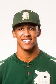 Baseball All-Area: South Hills' Brandon Dieter and coach Darren Murphy earn  top honors