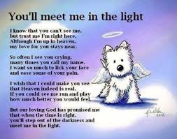 A Nice Note To Send To Someone Who S Dog Has Passed Away Pet Loss Dogs Dog Quotes
