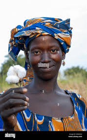 Boll formation hi-res stock photography and images