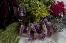 Check spelling or type a new query. Small Space Diy A Wall Of Colorful Dried Flowers Gardenista