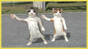 Dancing cats - YouTube
