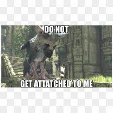 The Last Guardian Knowing That This Game Takes Place Last Guardian Jacksepticeye Meme Clipart 5812085 Pikpng
