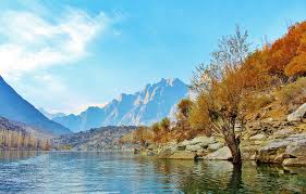 Welcome to our directory of video based chat rooms which introduces you to local members from over 40 countries. Baum See Pakistan Kostenloses Foto Auf Pixabay