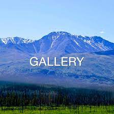 The $3.25 how to gold pan book by sam radding: Gold Fever Prospecting