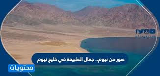 نيوم ستور متجر إلليكتروني يحتوي علي باقه من المع المنتجات العالميه. ØµÙˆØ± Ù…Ù† Ù†ÙŠÙˆÙ… Ø¬Ù…Ø§Ù„ Ø§Ù„Ø·Ø¨ÙŠØ¹Ø© ÙÙŠ Ø®Ù„ÙŠØ¬ Ù†ÙŠÙˆÙ… Ù…ÙˆÙ‚Ø¹ Ù…Ø­ØªÙˆÙŠØ§Øª