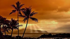 Hawaii, sunset, cloud, beach, vacation, travel, tropical, hawaiian. 118 Hawaii Hd Wallpaper 1920 1080