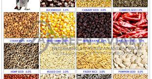 African Grey Parrot Seed Mix Composition Buckwheat 5 0 Canary Seed African Grey African Grey Parrot Seeds