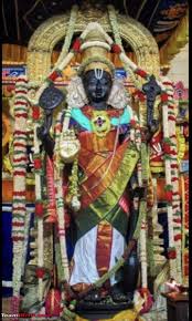Athi Varadar Kanchipuram A Once In A Lifetime Darshan Team Bhp