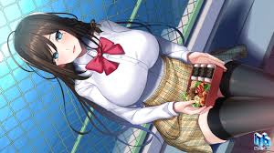 エロい身体が入れ替わった彼女と姉がＨなアプローチ♪ アニメＨ演出が人気のNorth Box最新作『オトカノ  ～おとうとの彼女が文系で強め!?～』を速報チェック!!