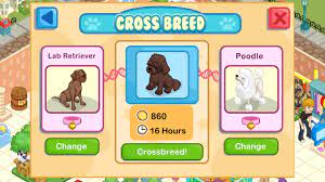 Shared tested pet shelter (early access) v0.3 mod apk: Pet Shop Story For Android Apk Download