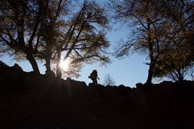 Image result for tbn:Qm8QJA0FQGkeJM::www.trekkingchile.com/Images/mis_fotos/1201890604.jpg