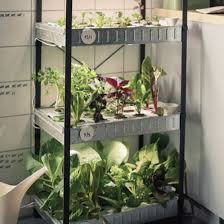 That's why the fournitures manufacturer is ready to sell products enabling handymen who have green fingers could get seeds, planters and all what they need to grow planters indoor. Ikea Launches Hydroponic Indoor Gardening Kit Ideal Home
