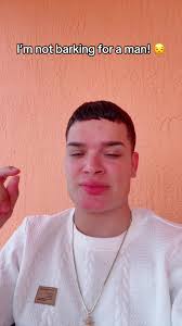 Lost French Bulldog Found in Springhill