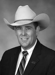 Mississippi's State Fruit: Blueberries Growing in Popularity, Challenges