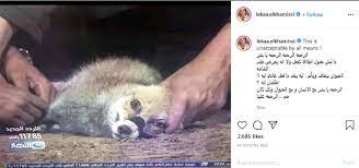 ابنة سعيد صالح تحكي موقفا إنسانيا للراحل سمير غانم أثناء جنازة والدها. Ø¨Ø·Ù„ÙŠ ØªÙ„Ø¨Ø³ÙŠ Ø¬Ø§ÙƒÙŠØªØ§Øª Ø¨Ø§Ù„Ø¢Ù„Ø§Ù Ù…Ø´Ø§Ø¯Ø© Ø¨ÙŠÙ† Ø±ÙŠÙ‡Ø§Ù… Ø³Ø¹ÙŠØ¯ ÙˆÙ„Ù‚Ø§Ø¡ Ø§Ù„Ø®Ù…ÙŠØ³ÙŠ Ø¨Ø³Ø¨Ø¨ Ø­Ù„Ù‚Ø© ØµÙŠØ¯ Ø§Ù„Ø«Ø¹Ø§Ù„Ø¨ Ø®Ø¨Ø± ÙÙŠ Ø§Ù„ÙÙ†