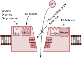Image result for Phencyclidine