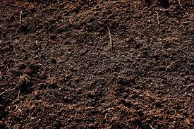 Soil Not Dirt Dirt Texture Earth Texture Soil Texture
