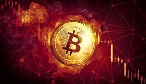 Cung cấp tin tức, hình ảnh, bài viết, video clip về tiền ảo bitcoin (btc) 2021. Gia Bitcoin Hom Nay 14 5 Bitcoin Máº¥t Má»'c 50 000 Usd