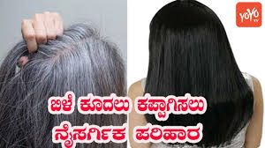 Black hair with highlights is gorgeous and trending strong right now. How To Change White Hair To Black Hair Naturally Permanent Hair Problem Tips Yoyo Tv Kannada Youtube