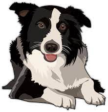 Vector illustration in style of flat decorative portrait in profile of dog collie, vector isolated illustration in black color on white background 56 Border Collie Art Ideas Border Collie Art Collie Border Collie