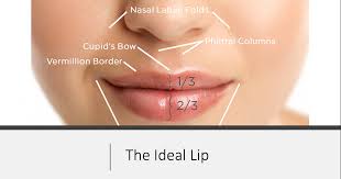 Hyaluronic acid (ha) is a clear, thick, sugar derivative that your body naturally produces to keep your joints, eyes, and skin hydrated. Restylane Kysse Brand New Hyaluronic Acid Filler For Your Lips