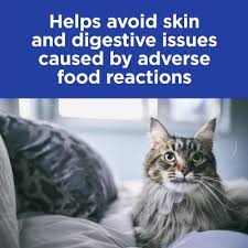 Offer not valid on products in the following categories: Hills Prescription Diet Feline Z D Original Dry Cat Food 3 85kg 8728 67 26
