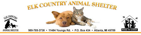 Cats and kittens are available for adoption at the atlanta humane society mansell campus. Elk Country Animal Shelter Atlanta Michigan
