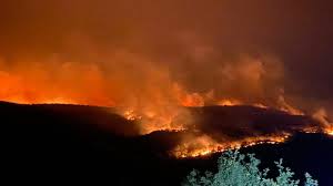 1994 yılında yayın hayatına başlayan yangın ve güvenlik dergisi ; Bulgaristan Turkiye Sinirindaki Yangin Kontrol Altina Alindi