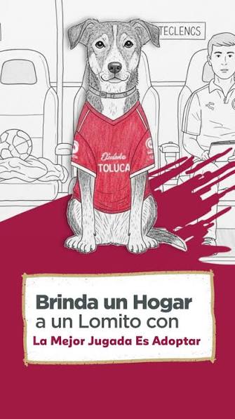 🐕🐈‍⬛ Con La Mejor Jugada Es Adoptar puedes brindarle una segunda  oportunidad a michis y lomitos., Conoce al nuevo integrante de tu familia  en los partidos del Toluca Futbol Club., ¡No compres, ...