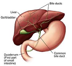 Image result for HIDA Scan