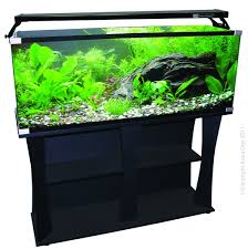 Fish Aquarium Supplies Afterpay Available Petbarn Freshwater fish tanks, tropical fish tanks, stands, lighting we do free delivery at wollongong, launceston, geelong, newcastle, alice springs, gold coast, hobart, darwin, canberra, perth, brisbane, adelaide. fish aquarium supplies afterpay