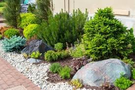 You can also add mulch or landscape rock to your flowerbeds to give them a more decorative look. How Much Does Decorative Gravel Cost