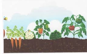 Proyecto Eco-Botánico: IES Santa Cristina de Lena, por Celia Santamarina y Digna  García