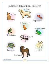 There seems to be some mating in phonetics between m & p, and not n & p ,for example. French Pets Poster Learning Spanish Teaching Posters Learn French