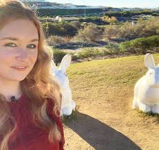 Bunnyhenge: A Unique Sculpture with Controversy