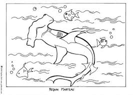 Coloriage Dun Requin Marteau Au Coeur De L Ocean Un Coloriage Pour Apprendre Et Faire Decouvrir Les Animaux Marin Coloriage Requin Coloriage Animaux Coloriage
