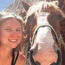 Looking for horse riding opportunities with horse owners