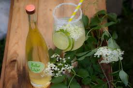 Rezept Holunderblutensekt Cocktail Mit Holunderblutenlikor Rezept Holunder Erfrischende Cocktails Sekt