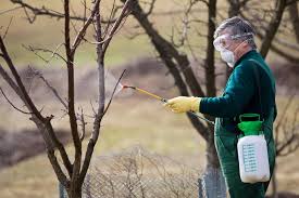 Dormant oils can be useful for treating overwintering eggs of aphids. How To Make Homemade Dormant Oil Spray For Fruit Trees Articles Merchantcircle