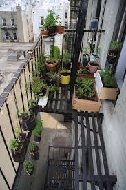 Fire Escape Garden Danielshortellblog Apartment Garden Balcony Decor Fire Escape
