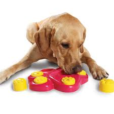 Try shopping with your dog to see which toys they prefer, or bring home a selection of toys to determine which types your dog likes. 2020 New Dog Interactive Games Puzzle Toys Dog Food Puppy Fun Iq Educational Treat Box Slow Feed Bowl Nontoxic Food Plate Dish Dog Toys Aliexpress