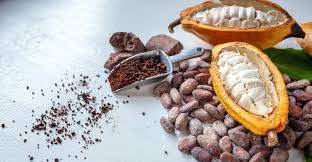 Image result for Cocoa