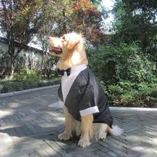 Big Dog Tuxedo Formal Wedding Party Pet Clothes With Bowtie Tails Suit Large Dogs Costumes For Bulldogs Golden Dog Tuxedo Wedding Dog Tuxedo Large Dog Costumes