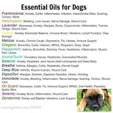 This essential oils reference guide app has been independently created by cube software solutions inc. Essential Homestead Page 2 Of 12 Natural Living In A Modern World Essential Oils Dogs Oils For Dogs Living Essentials Oils