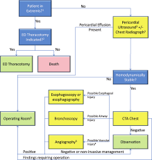 Image result for Trauma Evaluation