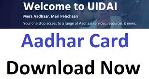 How to check aadhar card status? E Aadhar Card Download By Name Dob All Methods