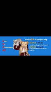 Are you seeking craigslist phoenix pets? Lost Dogs Of Arizona Facebook