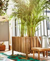 A Large Flower Box On The Balconyholds Two Large Plants Backyard Oasis Diy Patio Plants Small Space Gardening