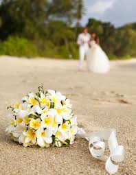 The fragrant blooms are available in a wide range of solid and variegated colors. 5 305 Bouquet Frangipani Photos Free Royalty Free Stock Photos From Dreamstime