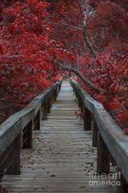 Maybe you would like to learn more about one of these? Pin On American Beauty